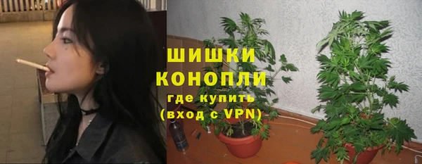 spice Великий Новгород