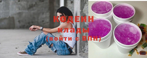 прущие крисы Горняк