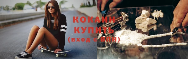 прущие крисы Горняк
