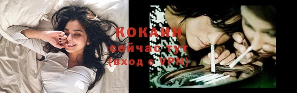 прущие крисы Горняк