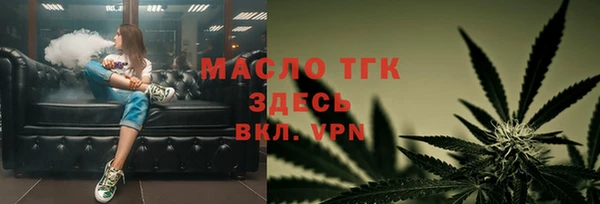 прущие крисы Горняк