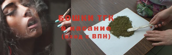 прущие крисы Горняк