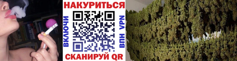 как найти наркотики  Плавск  Канабис марихуана 